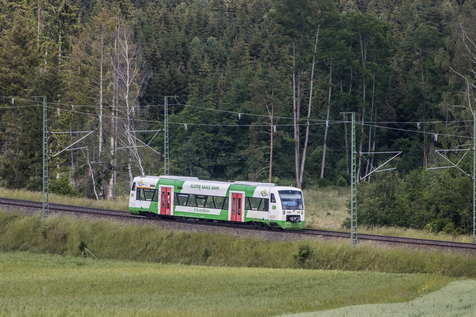 650 316 Unterhartmannsreuth (2023.06.15).