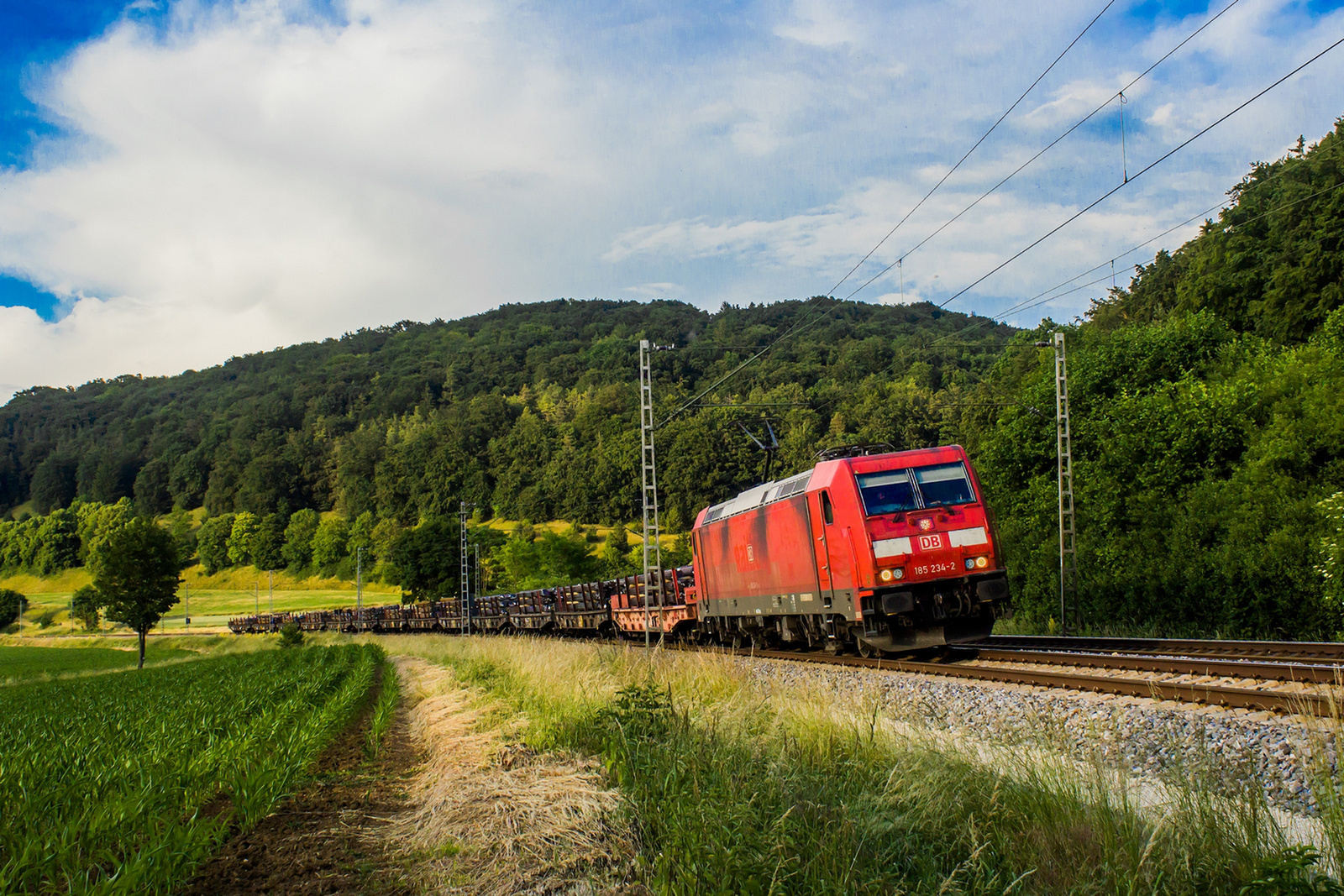 185 234 Breitenfurt (2023.06.16).