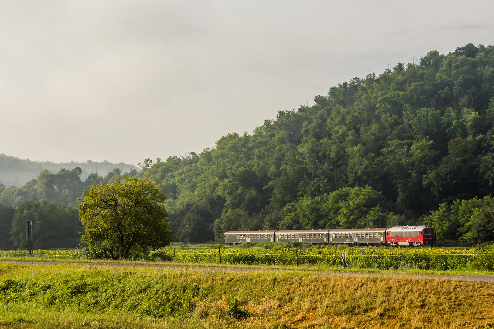 418 103 Mórágy (2022.07.22)01