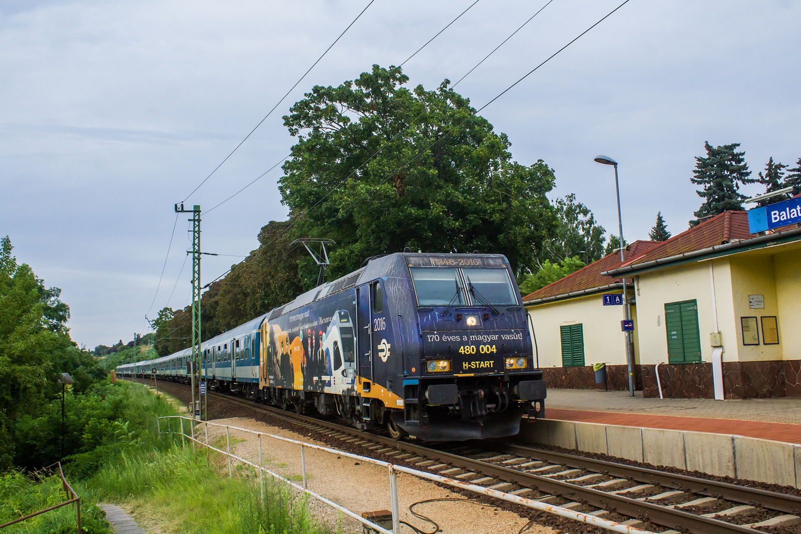 480 004 Balatonvilágos(2023.07.24).