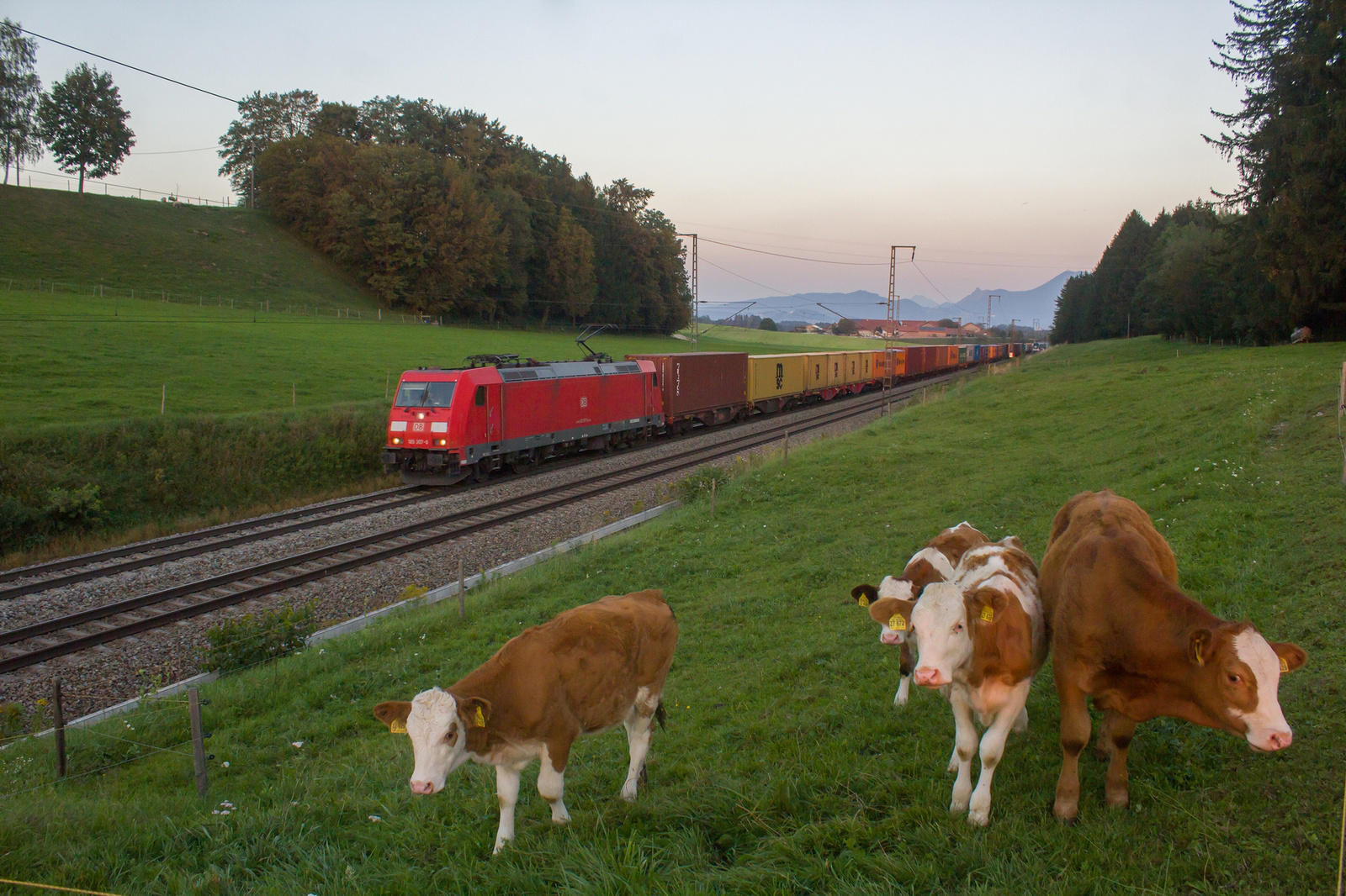 185 307 Straß (2023.09.11).