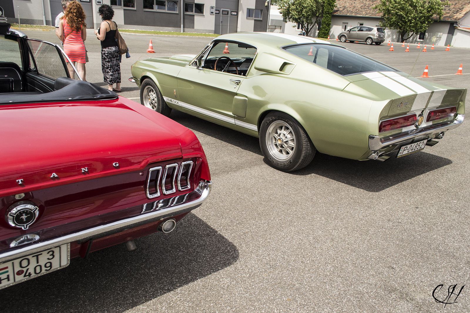 65' Mustang &amp; 67' Shelby Gt500 Cobra