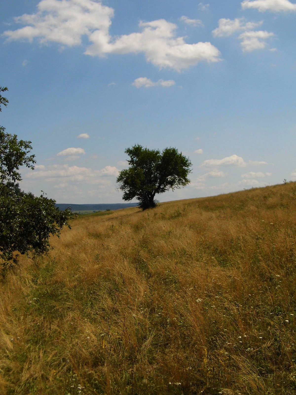 075 Szlovákia - Beretkei tanösvény