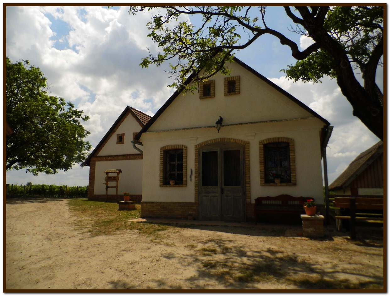 Györköny a pincefalu