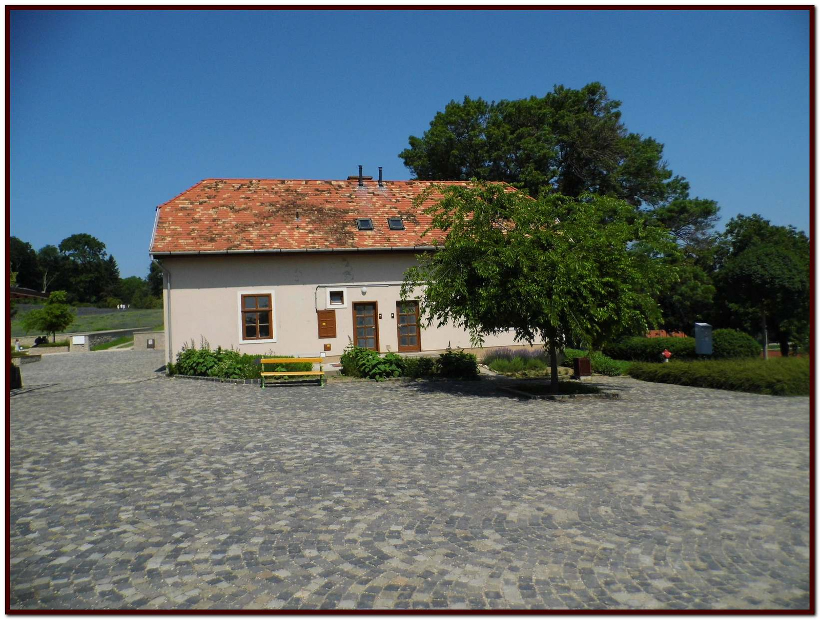 Pannonhalma - fűszerkert - a tér közepén