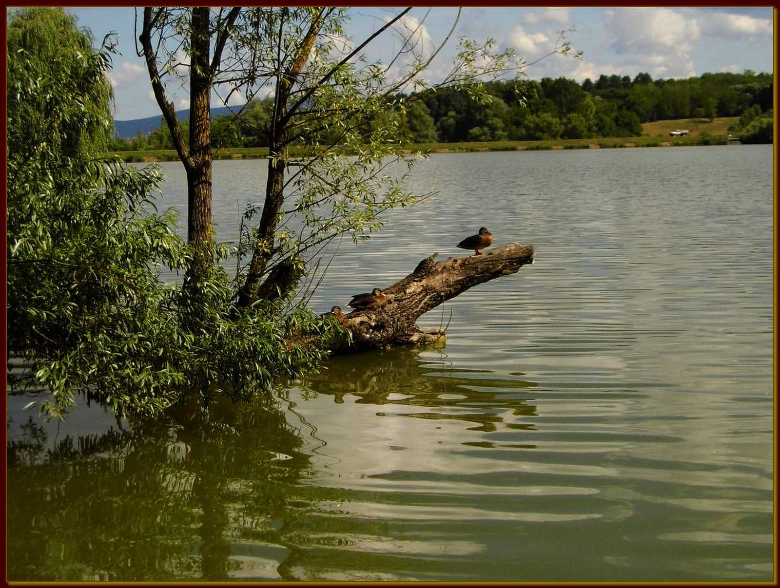 Pécs - Malomvölgyi tavak