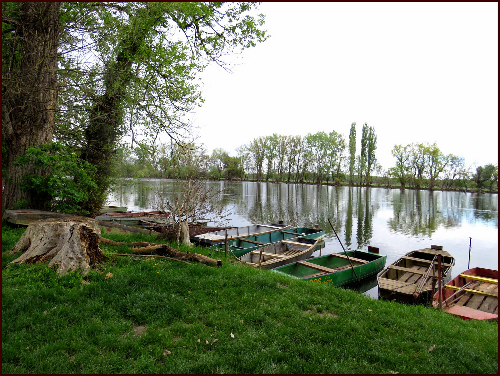 Tiszaalpár - Holt Tisza