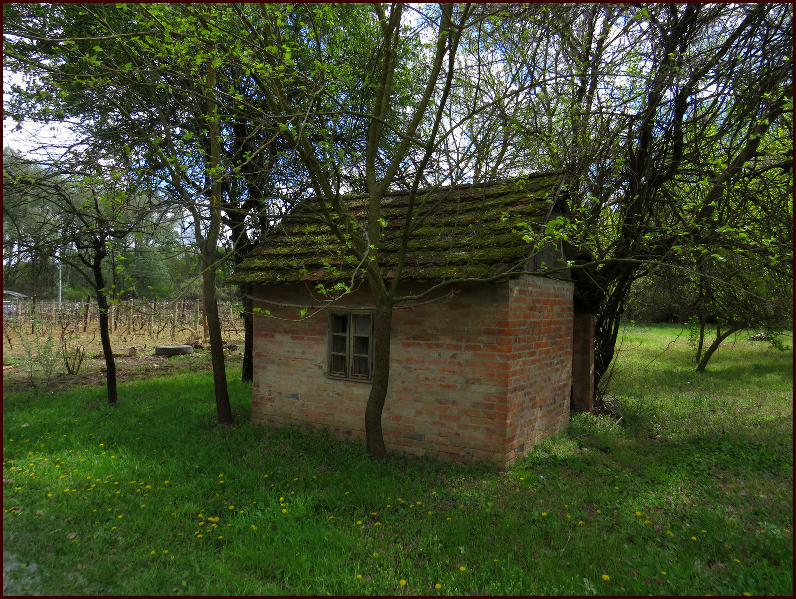 Szentes - Kis-Tisza sziget