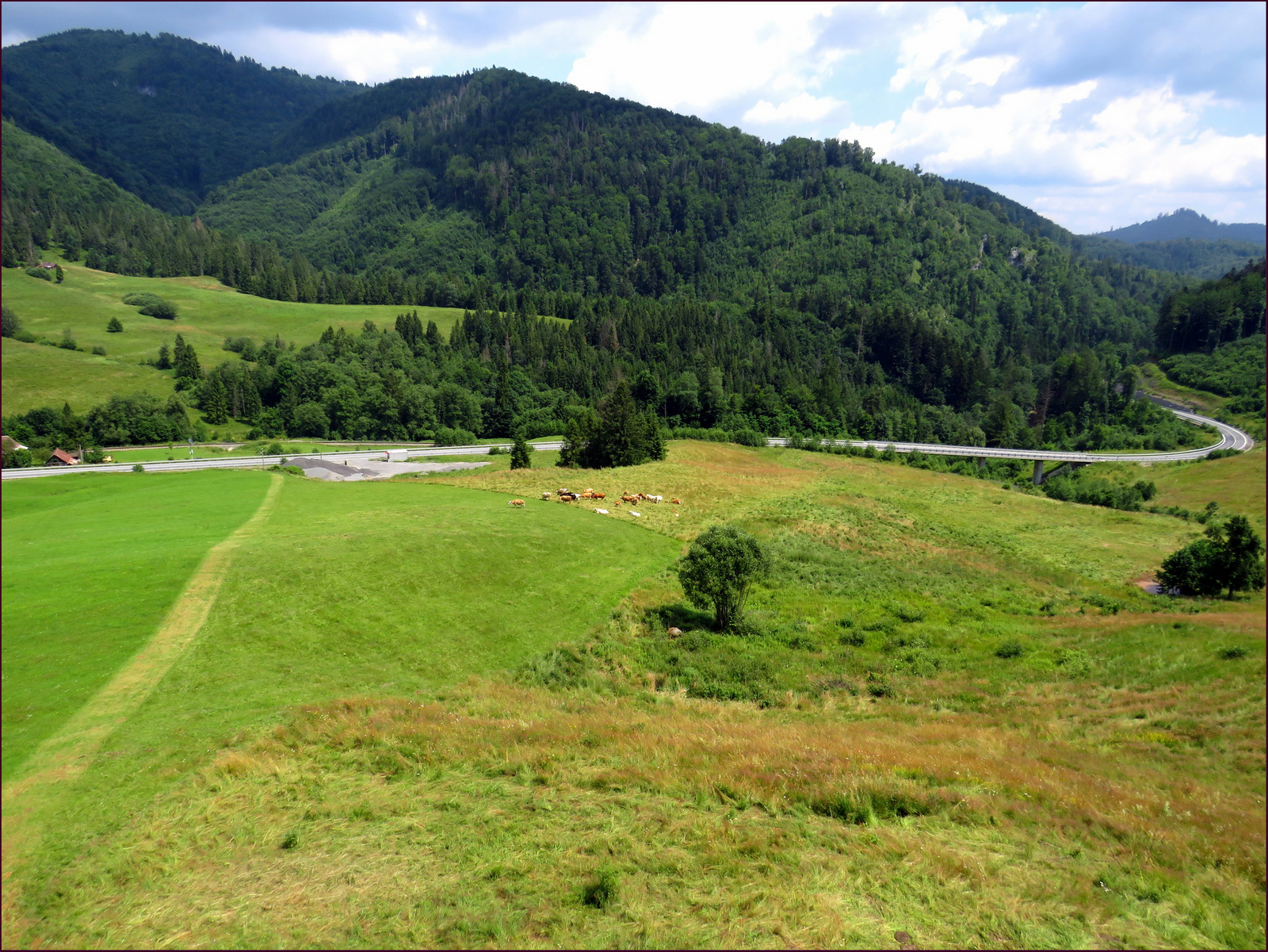 Betyárok tanösvény - panoráma a kilátóból