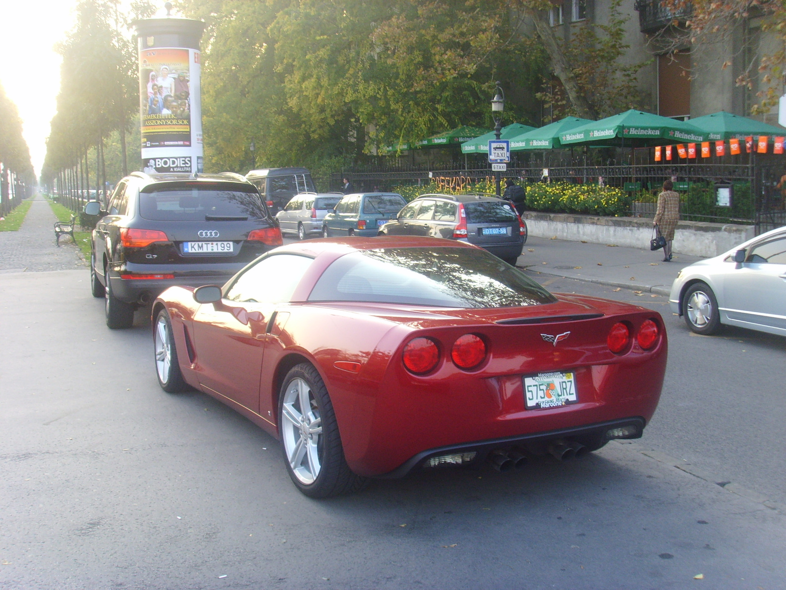 CORVETTE C6