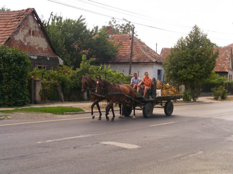 2 lóerő :)