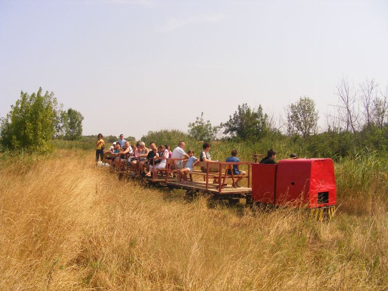 Vegyesvonat: a végén egy pőrekocsi