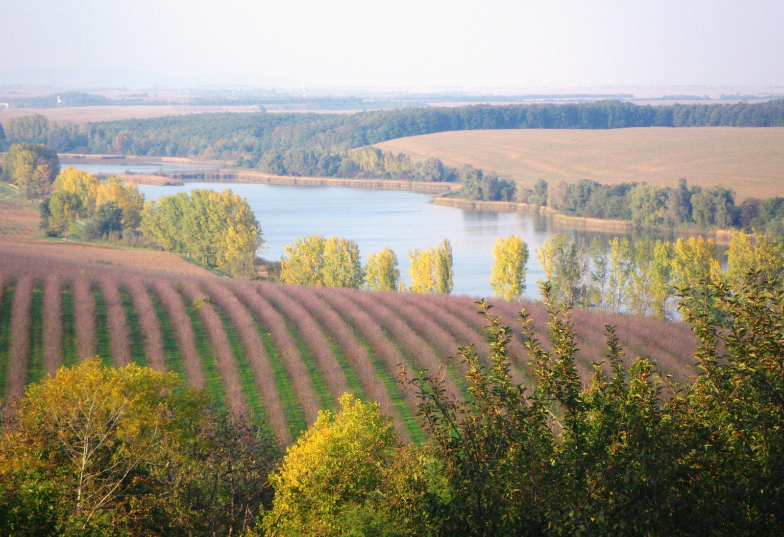 Villányi dombok