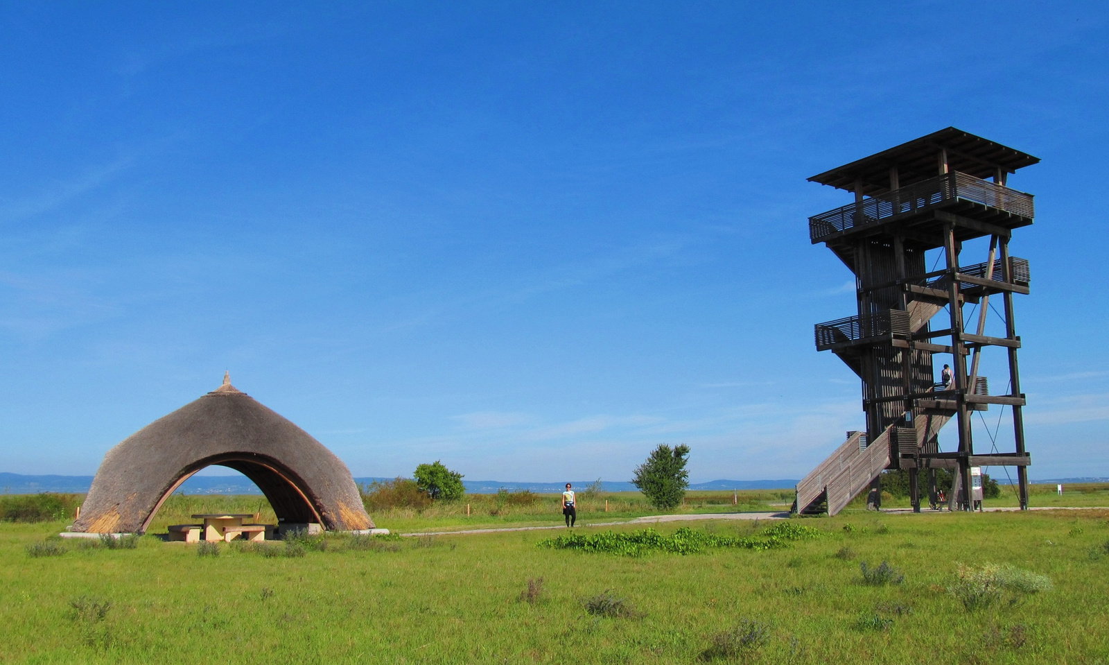 Bringáspihenő a Fertő-tónál