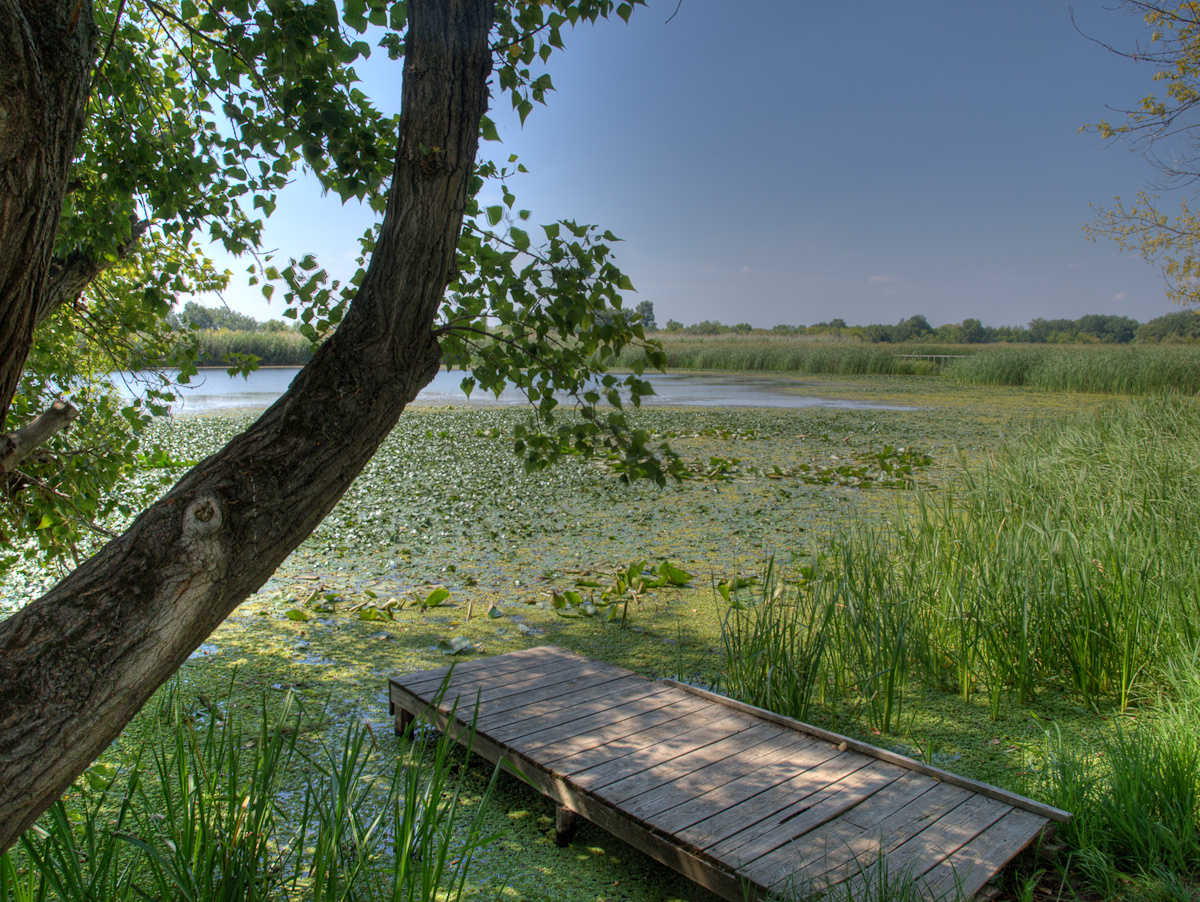 Tisza-tavi Vízi sétány