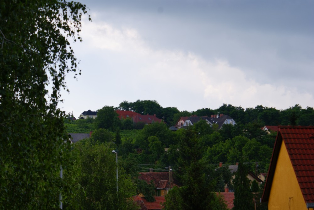 Landscape with a yellow house