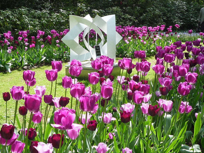 keukenhof 22