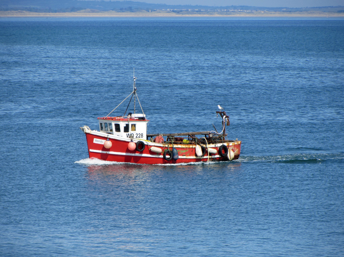 Howth - sirályszállító hajó :O)