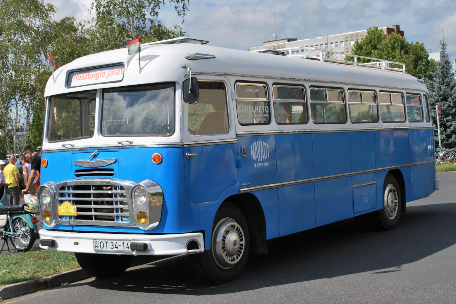 Ikarus 31