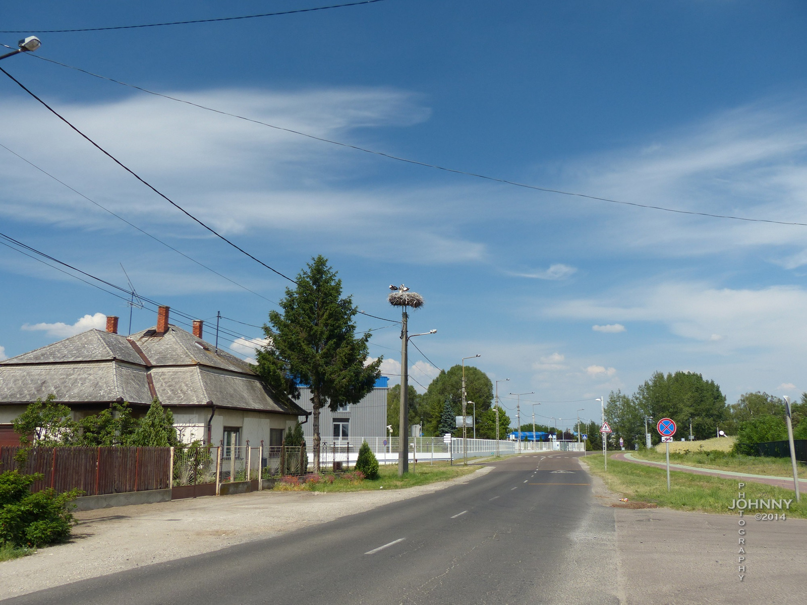 Gólyafészek