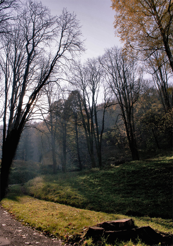 Visegrádi-erdő
