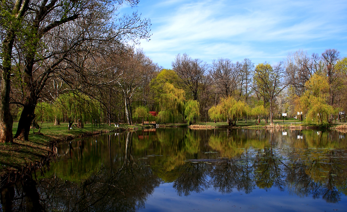 Andrássy-kastély,-parkrészlet-4