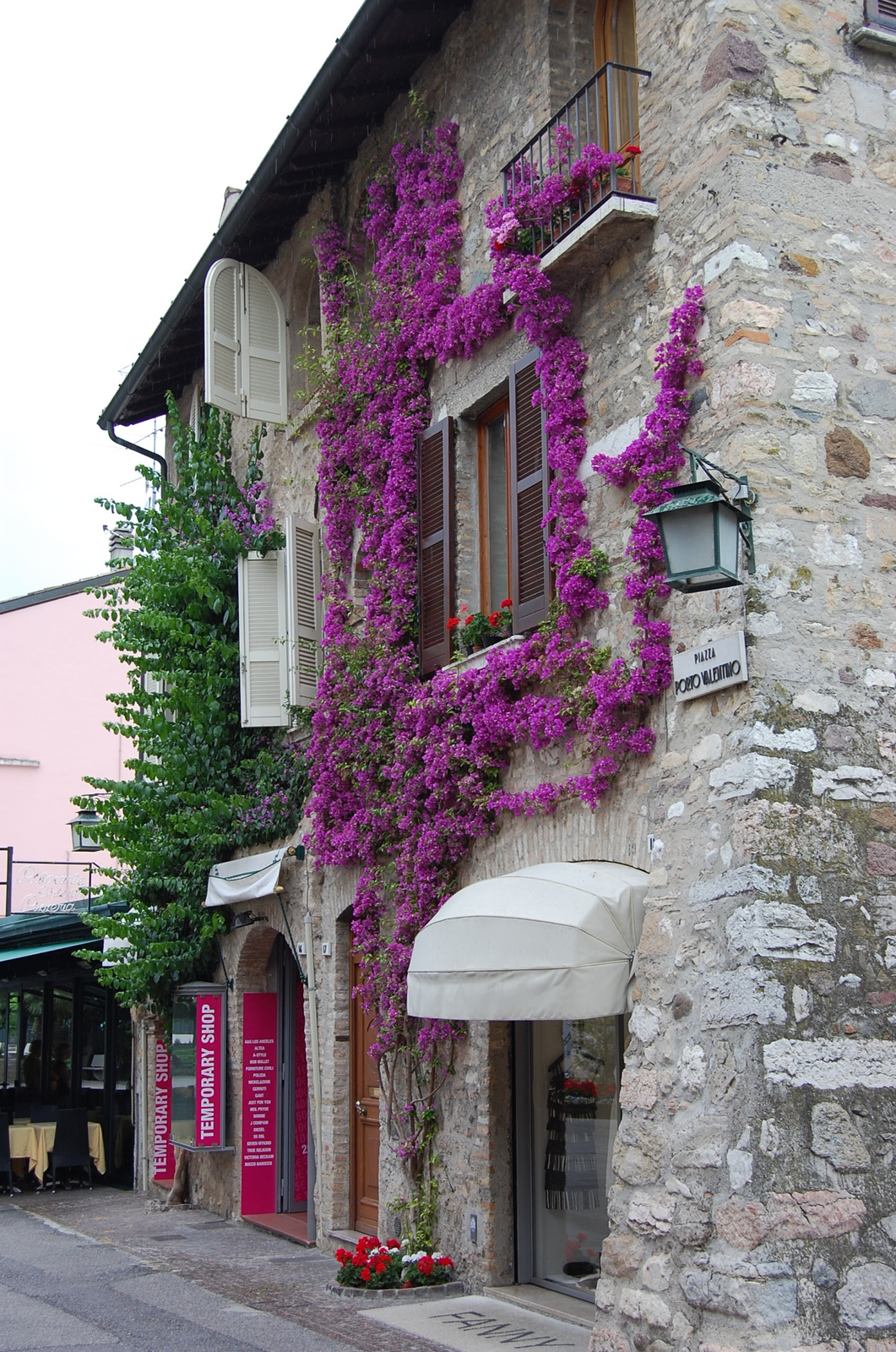 Olaszország Sirmione lilaakác