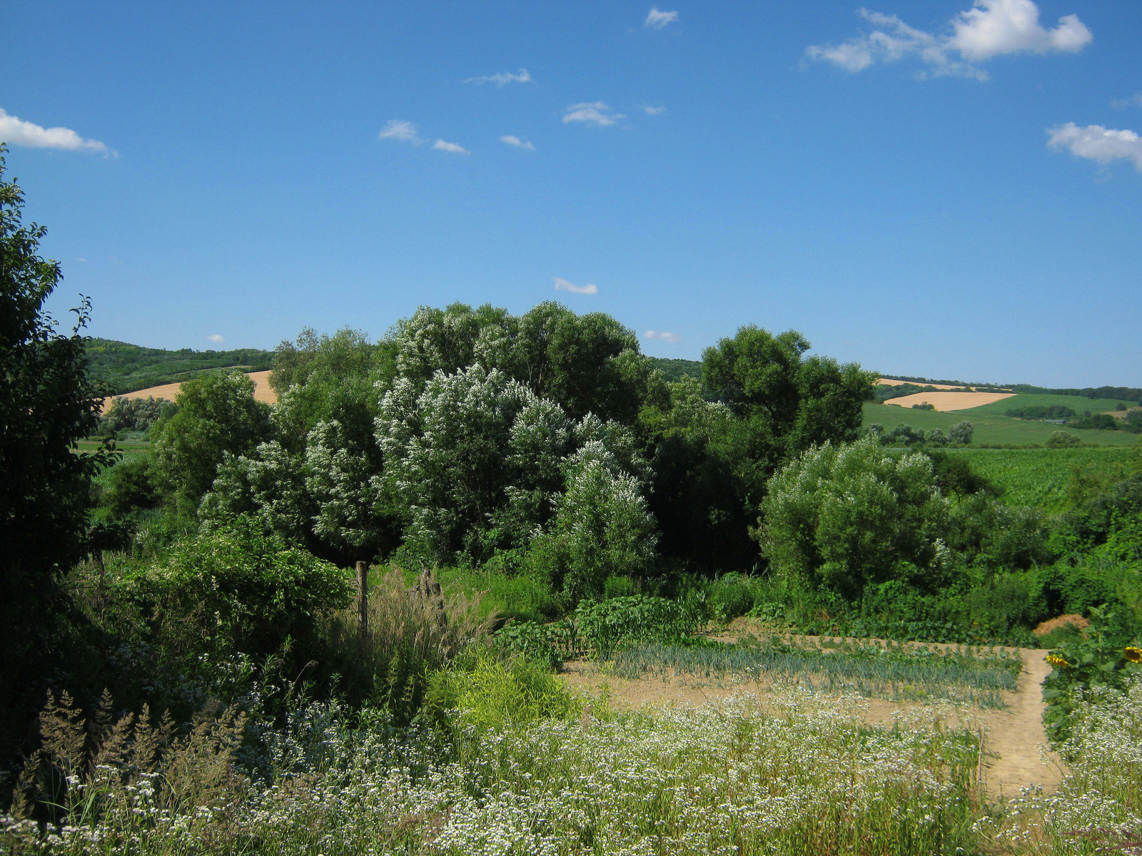 Élőhely - nagy