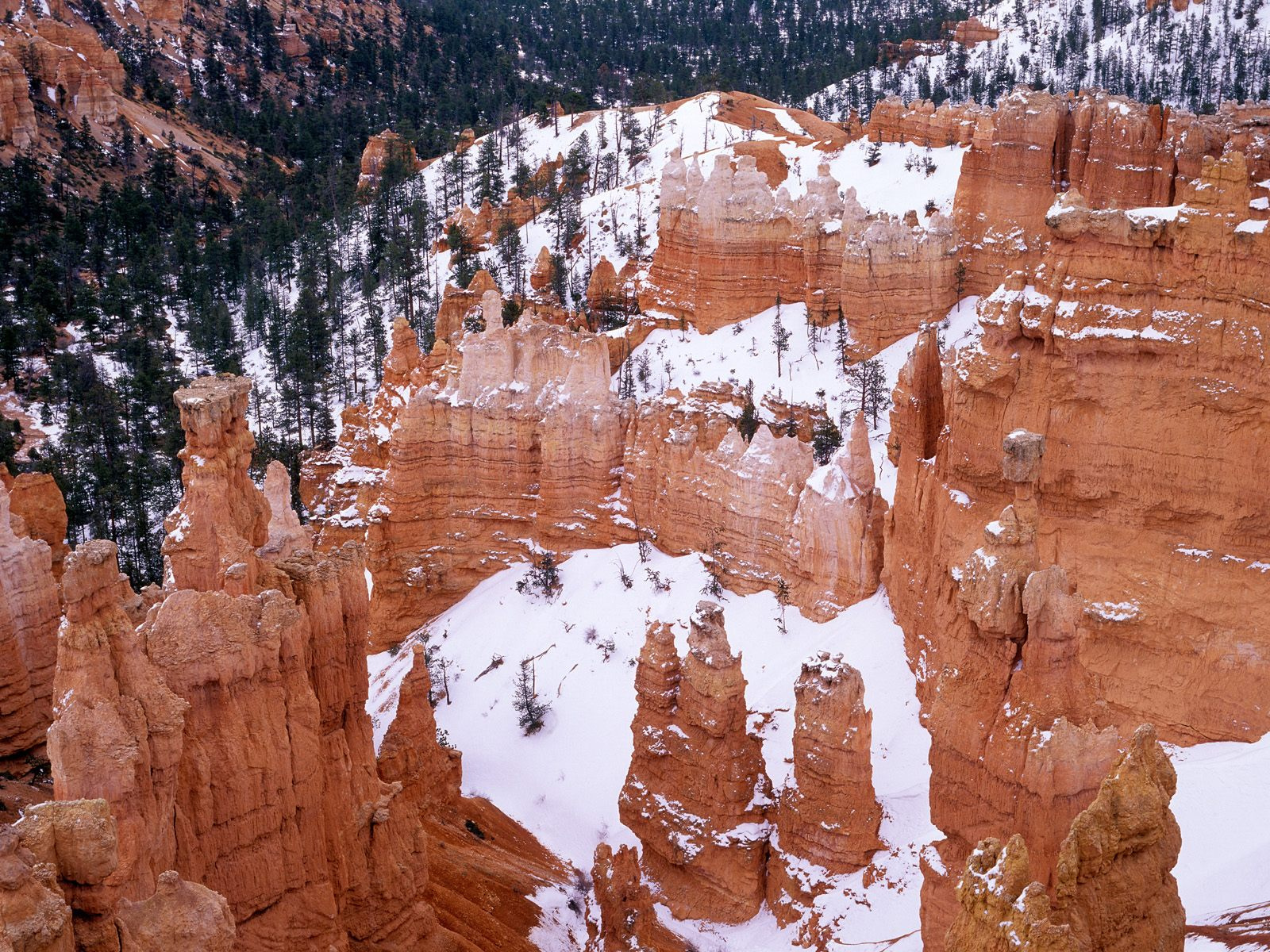 Snowy Bryce Canyon, Utah