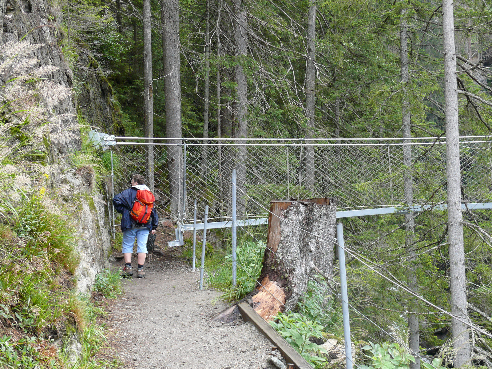 Riesach Wasserfall (33)