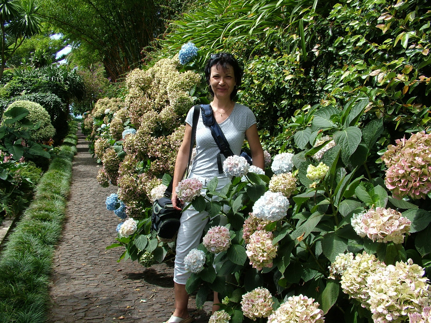 Madeira2013 045