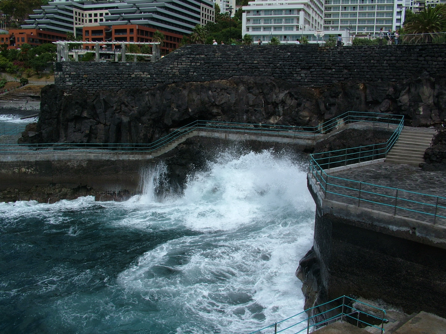 Madeira2013 086