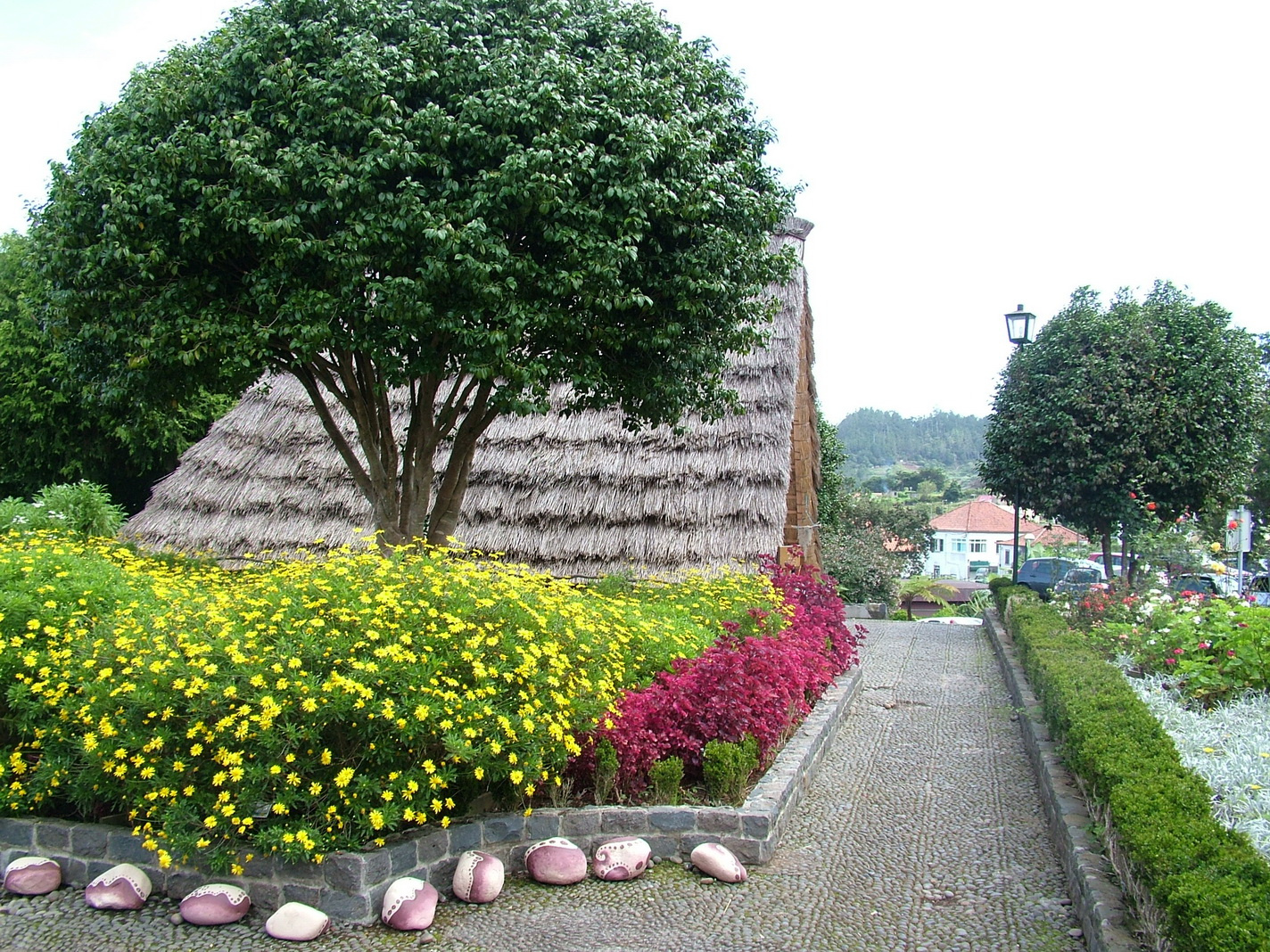 Madeira2013 105