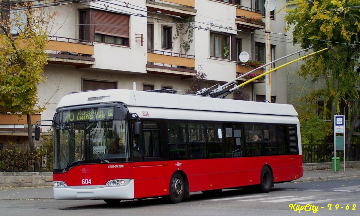 604 - 70 (Erzsébet Királyné útja)