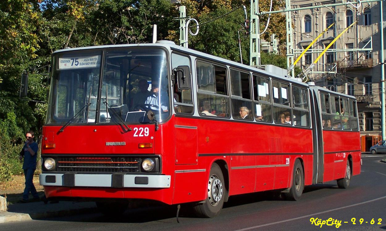 229 - 75 (Városligeti körút)