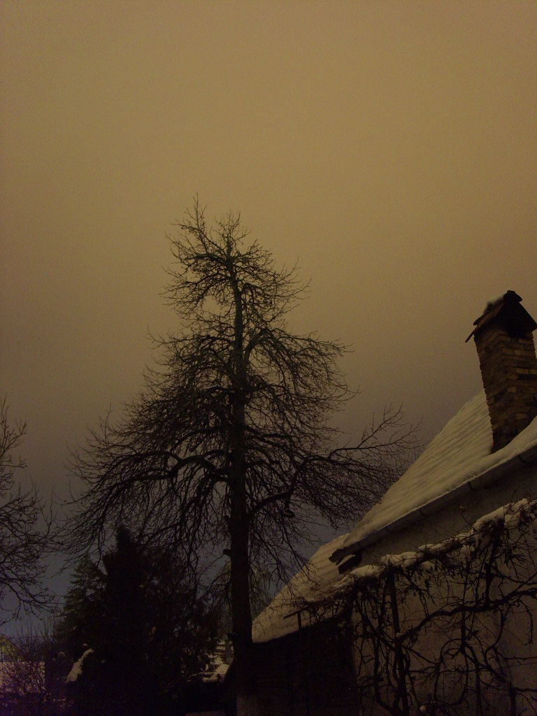 winter night