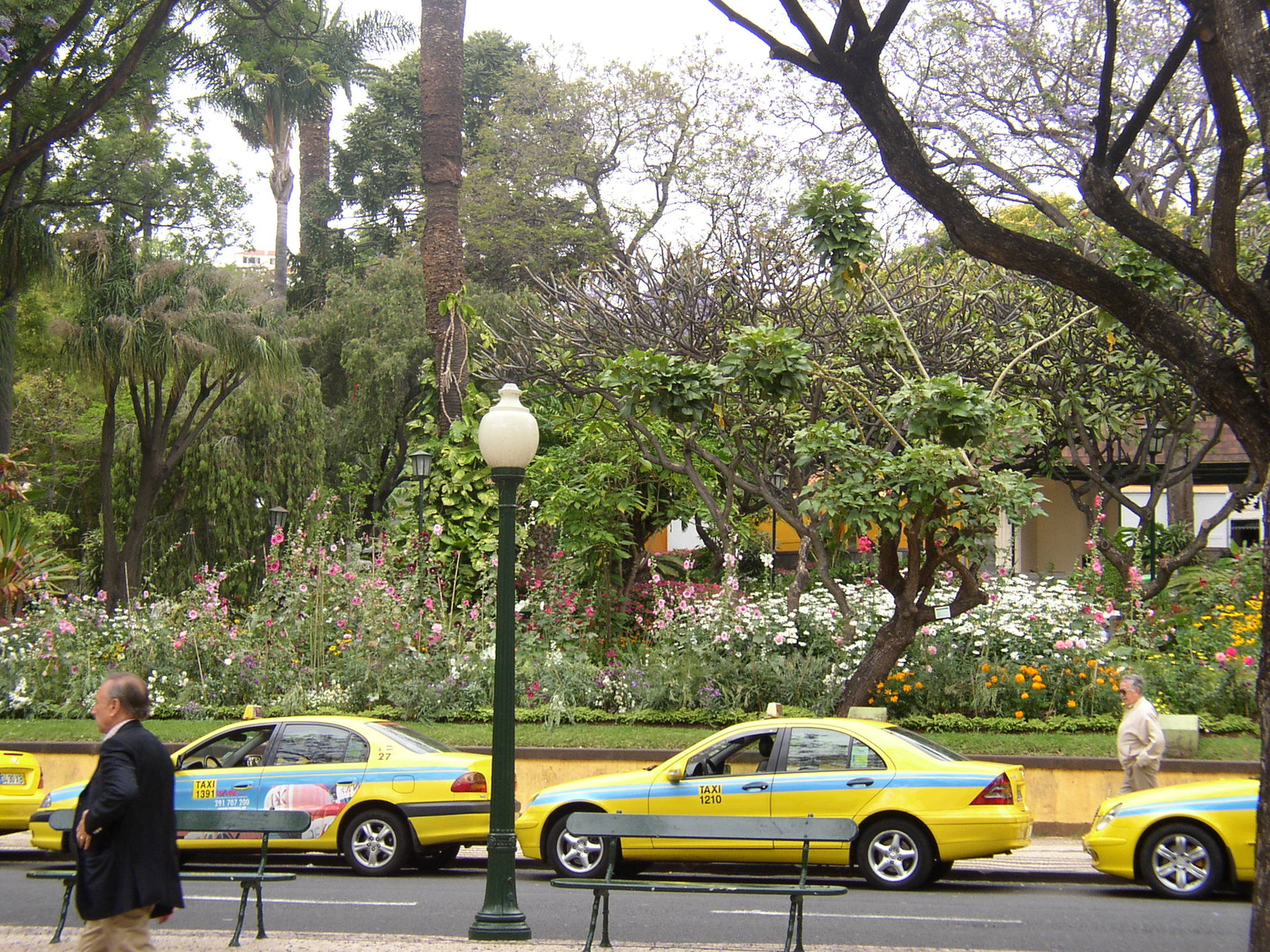 madeira2007 011