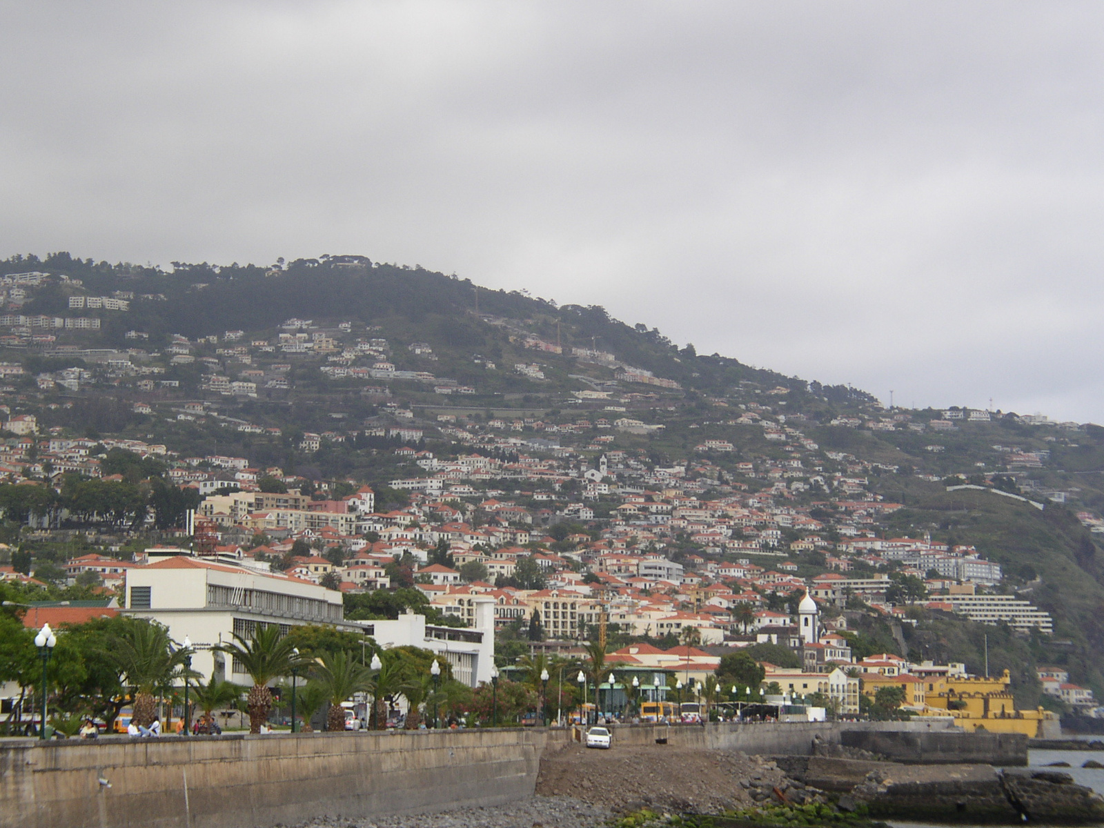 madeira2007 029