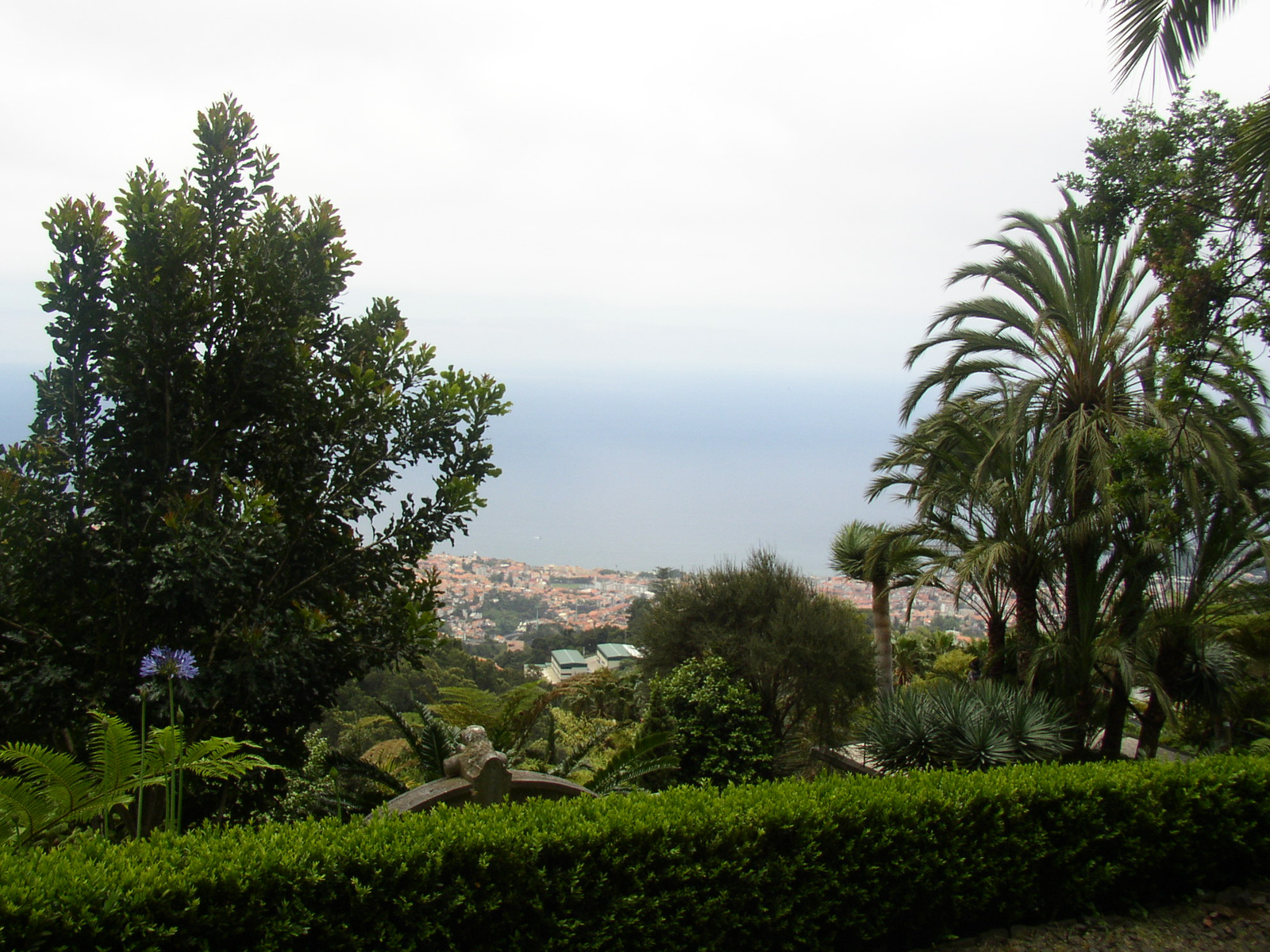 madeira2007 065