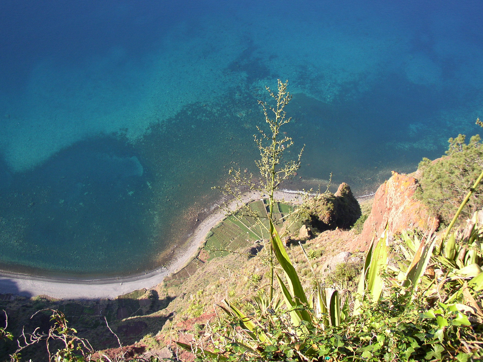 madeira2007 093