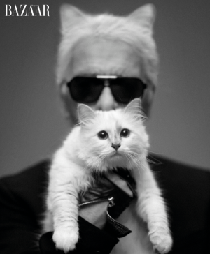 karl-lagerfeld-choupette-300x3641.png