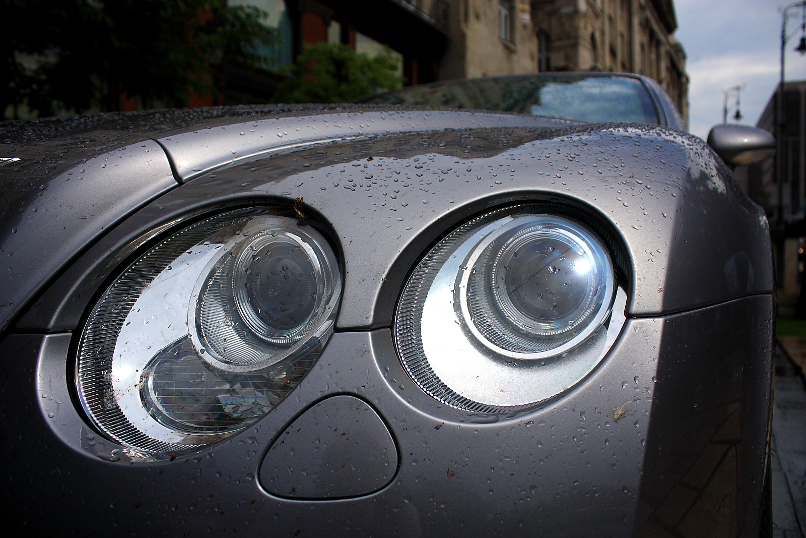 Bentley Continental GTC