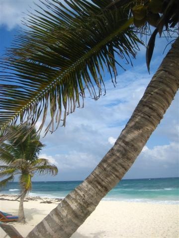 11 tulum (28) (Small)