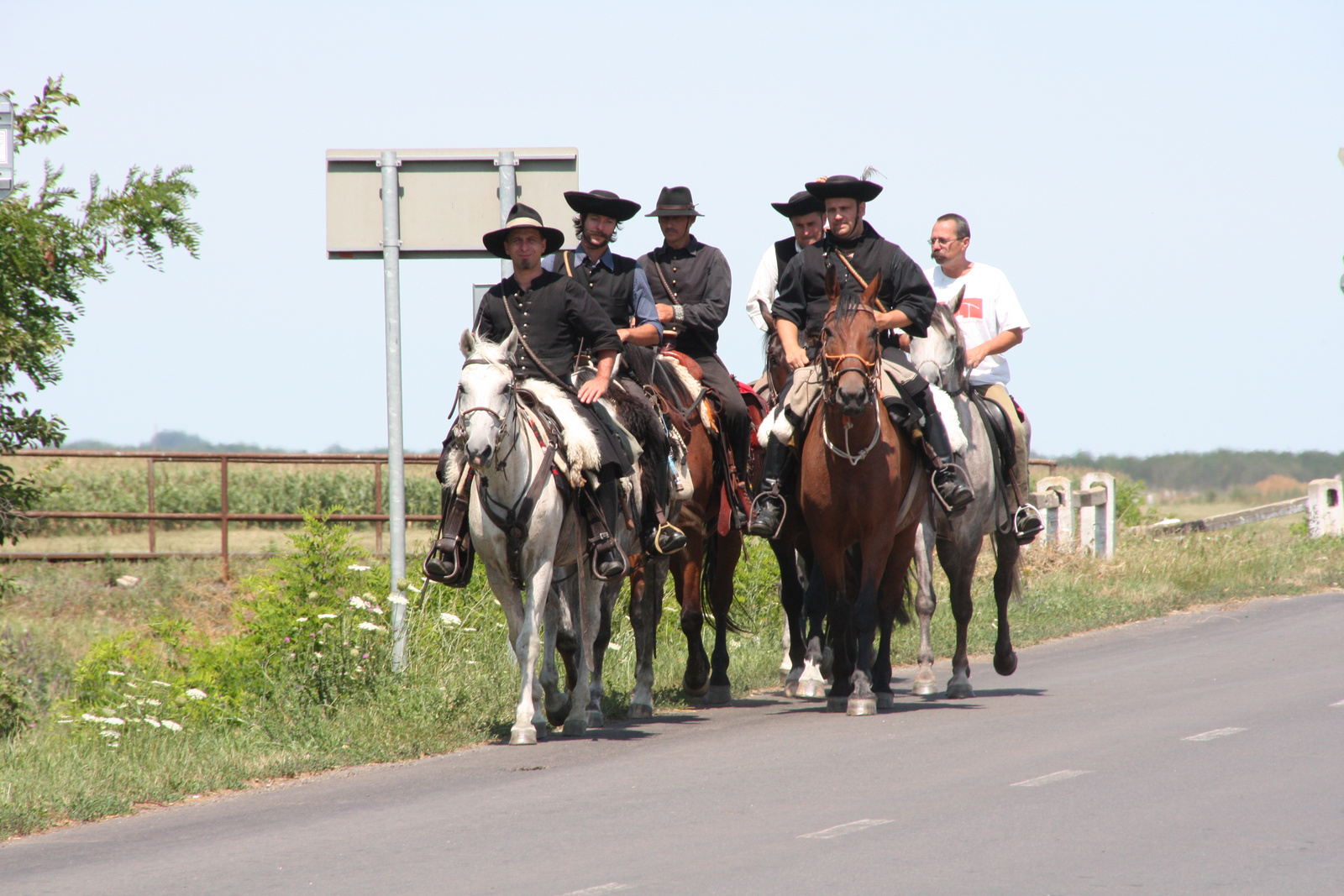 Báránd 2012