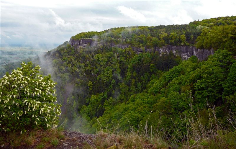 Thacher State Park