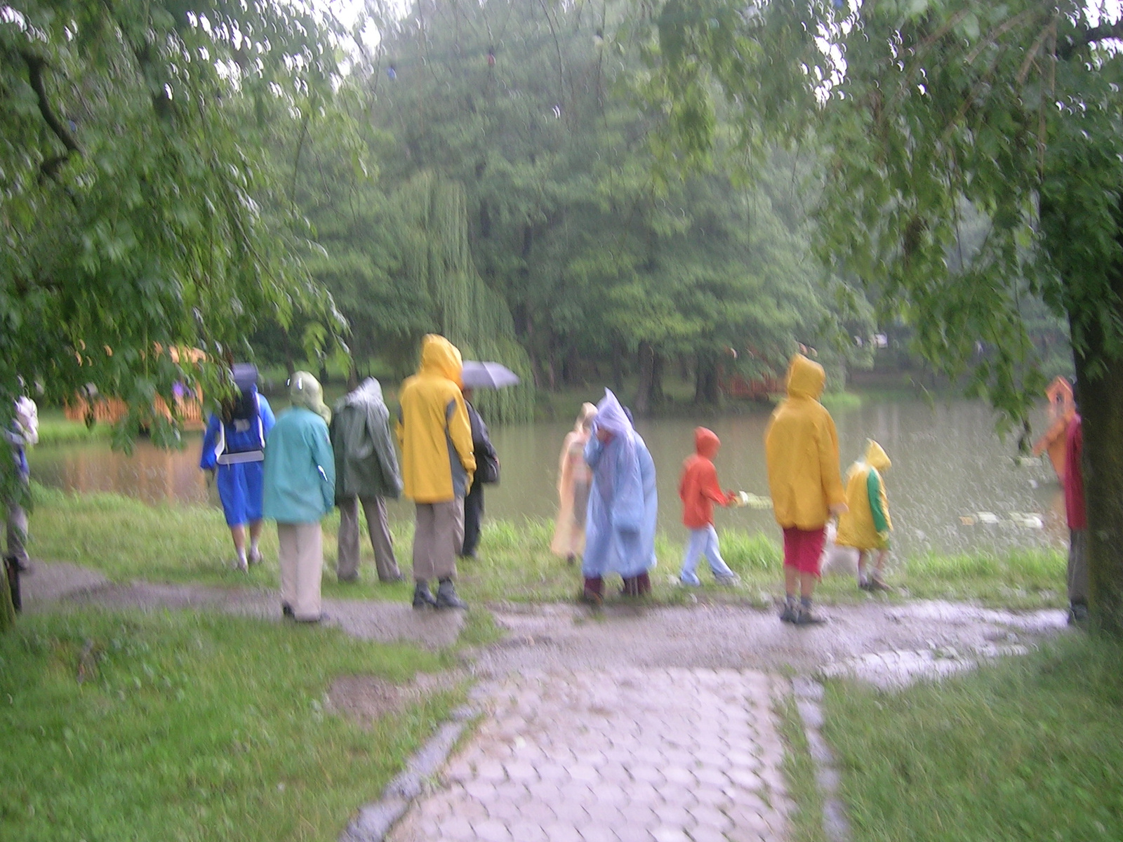 Kastélypark Esőben