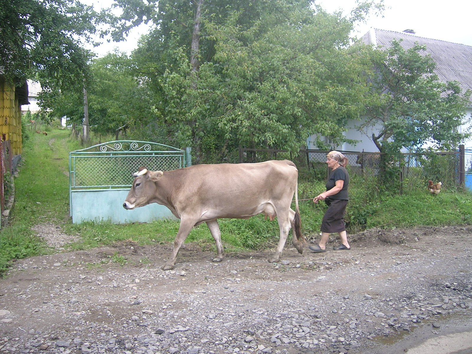 Vereckei Hágó felé 4