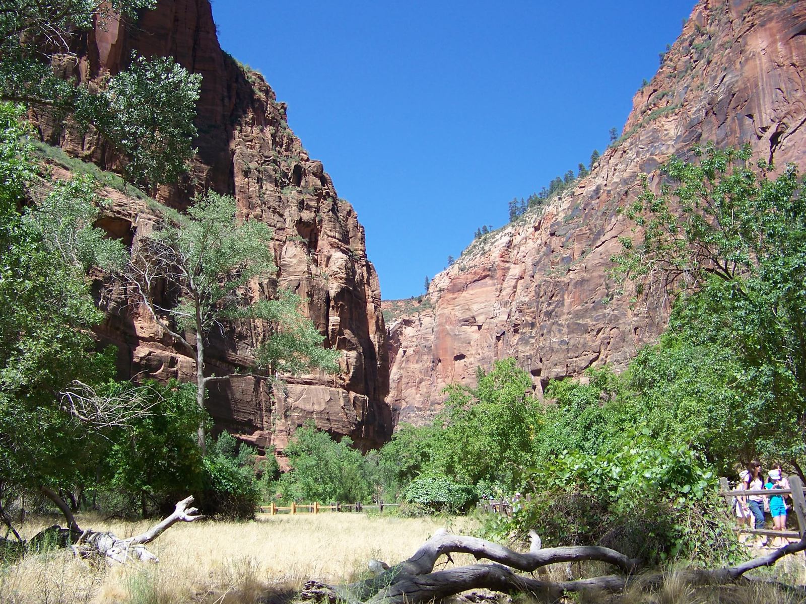 zion park