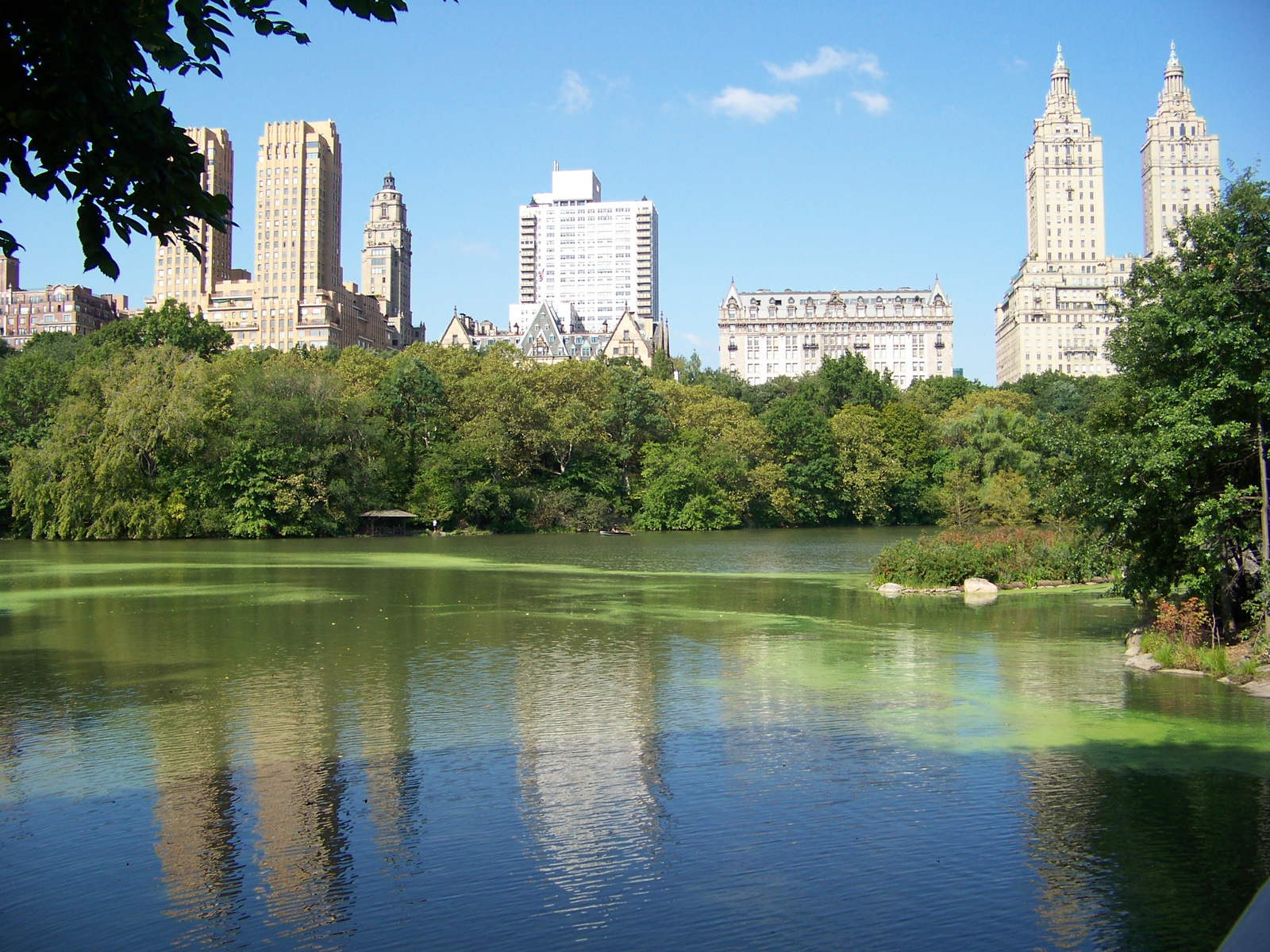 Central park2