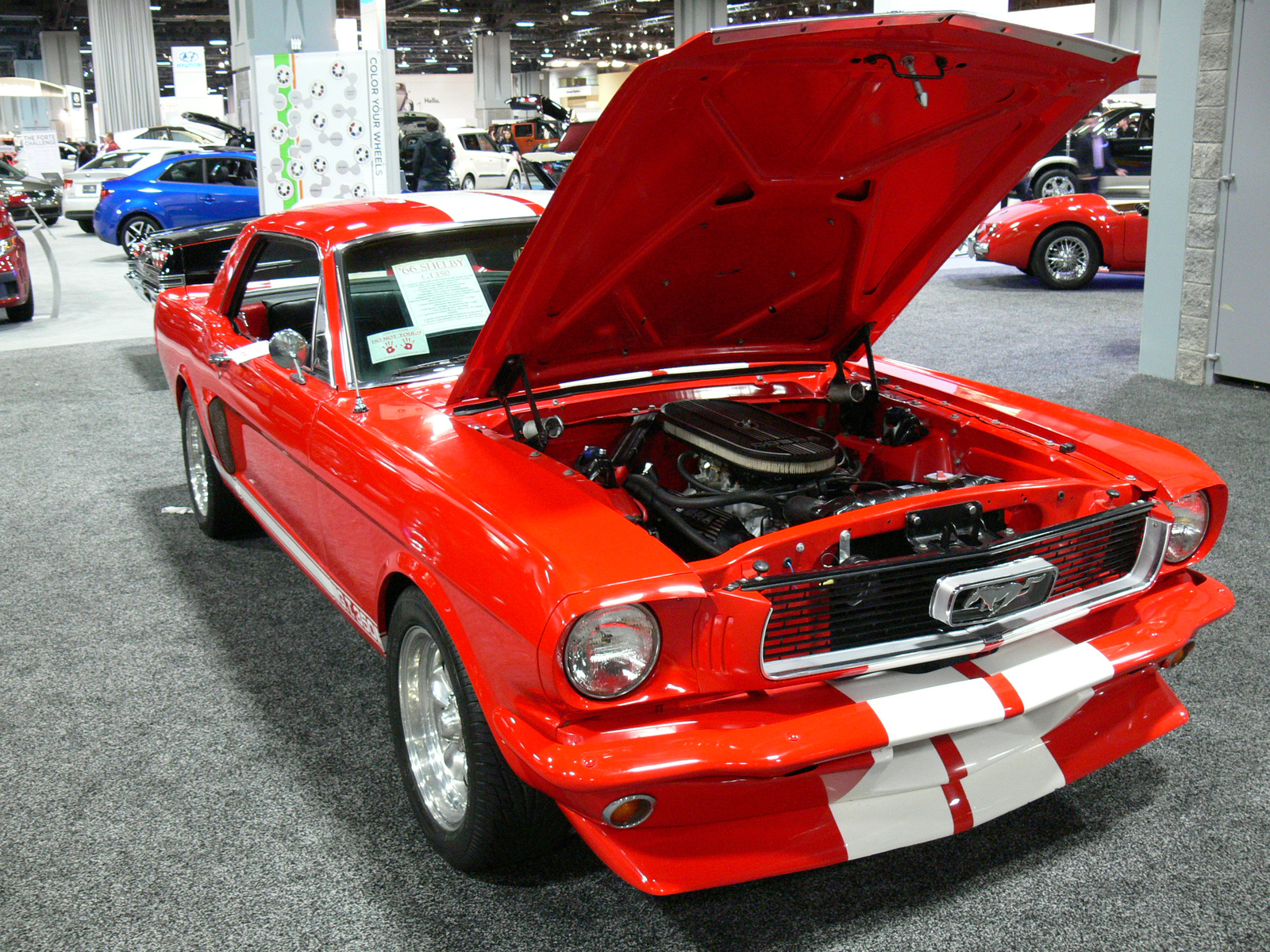 Shelby 1966
